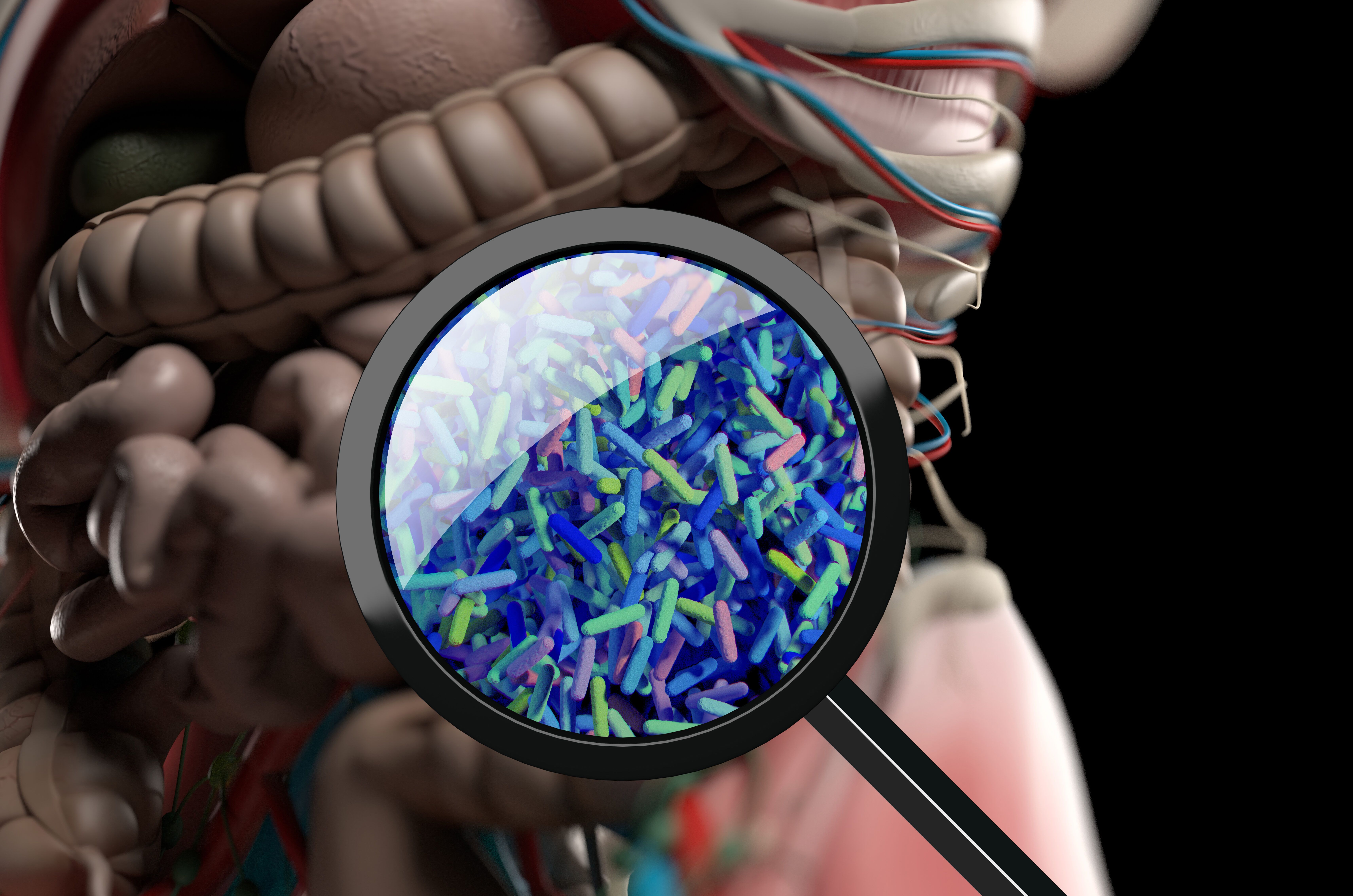 Gut bacteria, microbiome