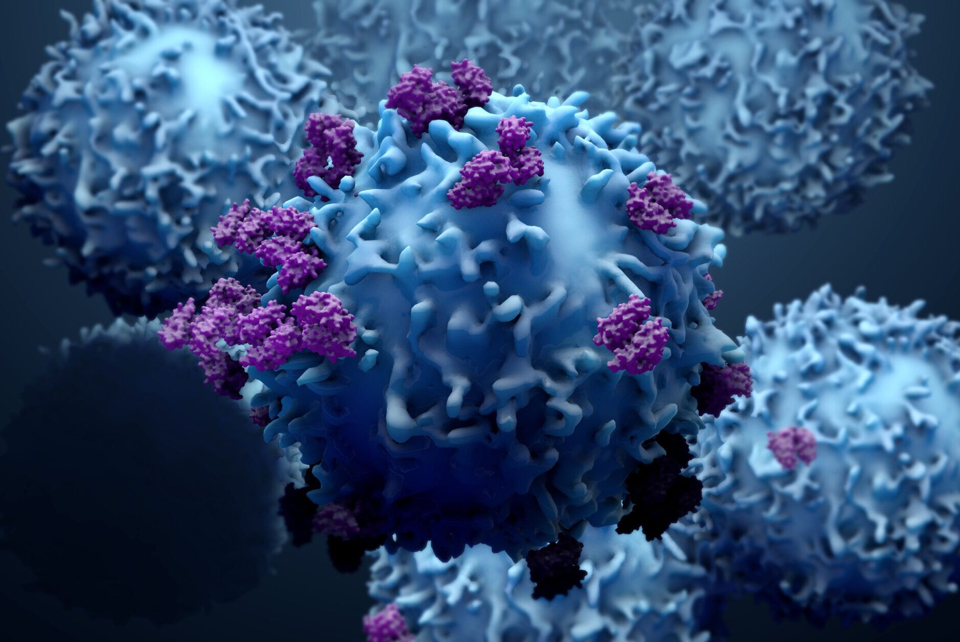 Funktionsmedicin - immunförsvar och T-cellsdominans